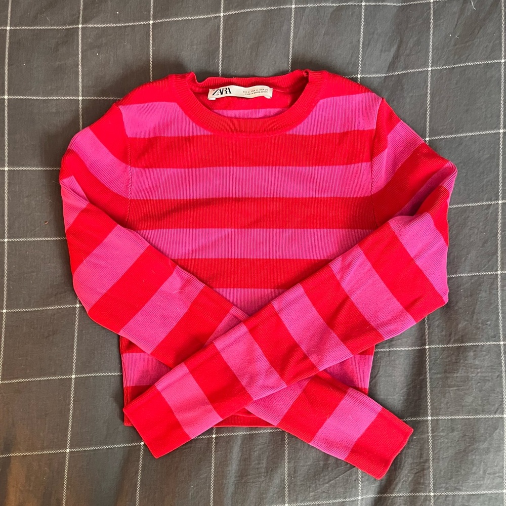 Zara Cropped Top